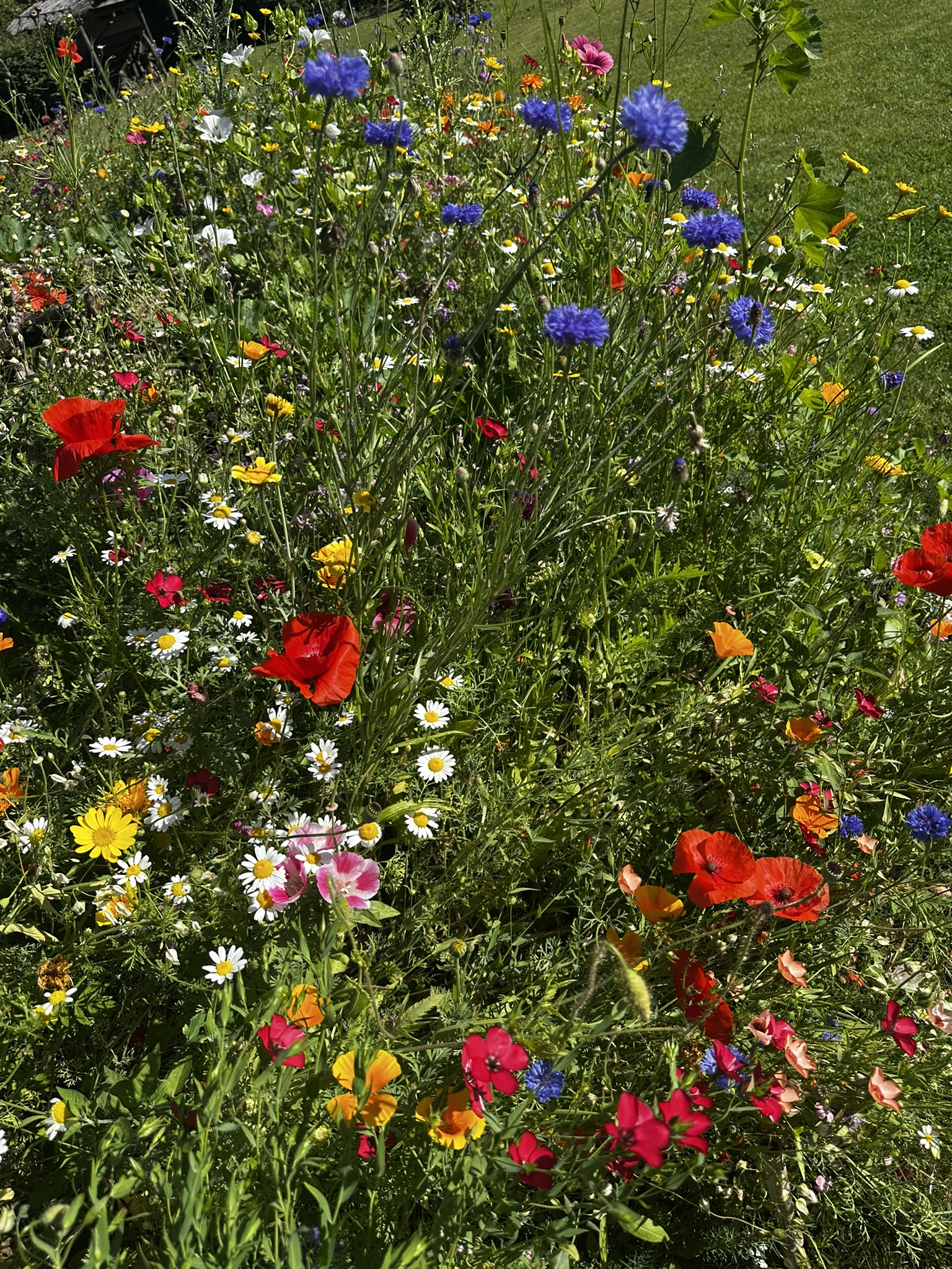 detection-incendie-lille-arras-villeneuve-d-ascq-nord-pas-de-calais